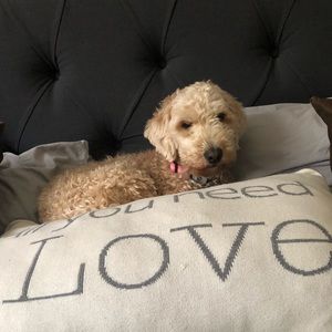 Meet your Posher, Mary